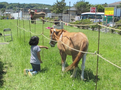 NPO法人人と馬のKAMAMMA